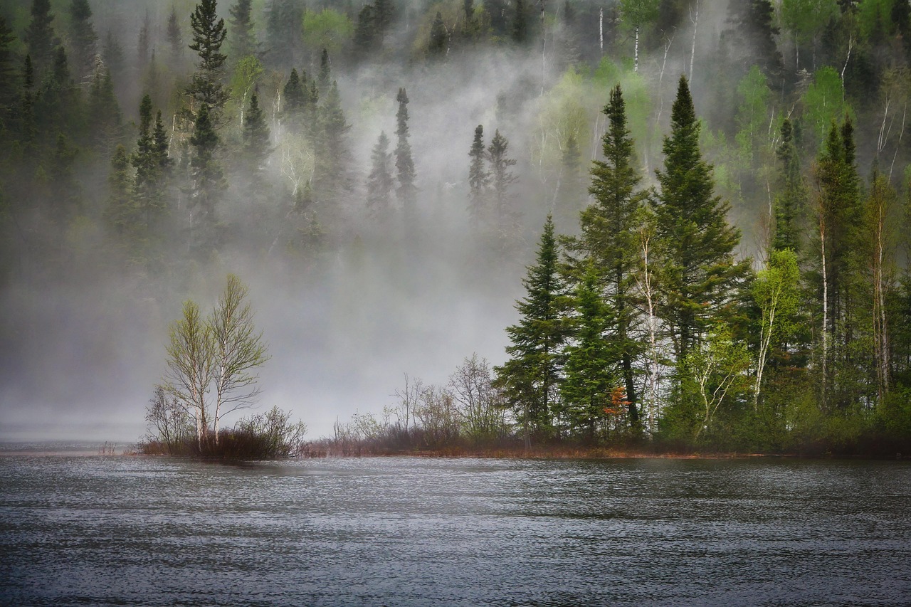 Le réchauffement climatique perturbe l’équilibre carbone des jeunes arbres